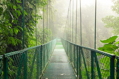 bridge rainforest monteverde costa rica
