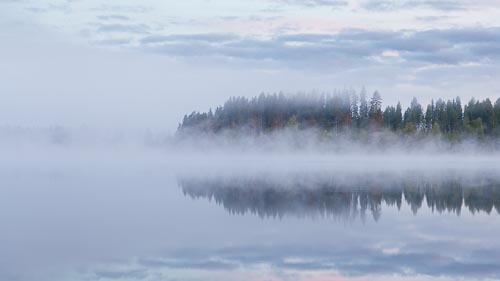 fog lake dawn reflection