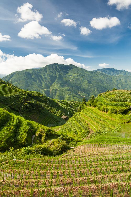 longsheng china rice terraces landscape