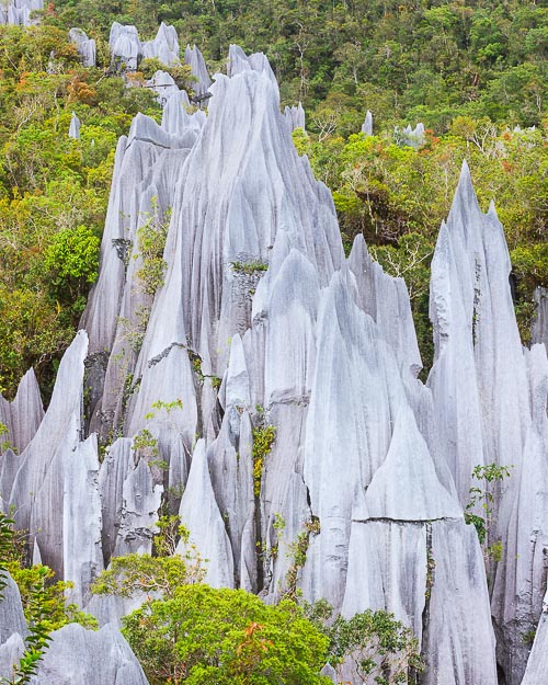 pinnacles borneo