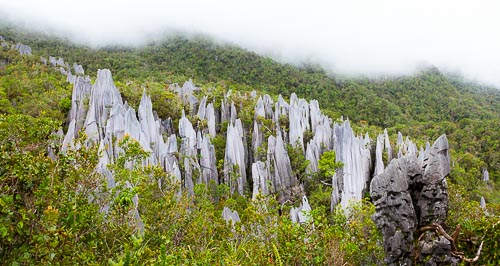 pinnacles borneo panorama