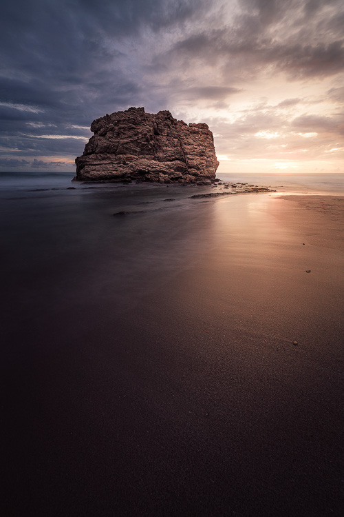 nature photo