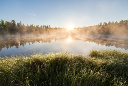 sunrise forest pond Finland